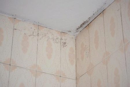 Як відмити цвіль у ванній? 13 фото Чим відтерти грибок на стінах і стелі, як видалити чорні плями з поверхні ванни і з іграшок для купання