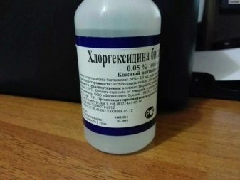 Як в домашніх умовах підстригти кота? Як правильно підстригти кішку ножицями в домашніх умовах? Як самостійно зробити стрижку для пухнастого кота?