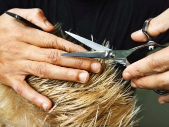 Як відростити волосся після короткої стрижки? 39 фото Як правильно укладати відросле волосся під час перехідних етапів?