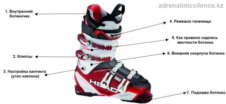 Як вибрати гірськолижні черевики (52 фото): як правильно вибирати по жорсткості, розміром і ширині колодки початківцям
