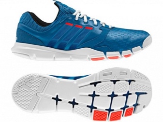 Як вибрати кросівки (94 фото): правильно вибір, як підібрати