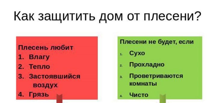 Як видалити цвіль з тканини (20 фото)? Чим можна видалити плями з коляски в домашніх умовах, як відіпрати одяг у пральній машині