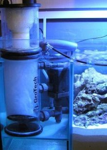 Як встановити фільтр в акваріум? 19 фото Як правильно зібрати і поставити фільтр в акваріум з рибками? Де повинен стояти акваріумний фільтр для води? На яку глибину опускати?