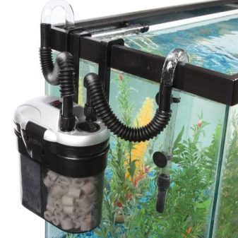 Як встановити фільтр в акваріум? 19 фото Як правильно зібрати і поставити фільтр в акваріум з рибками? Де повинен стояти акваріумний фільтр для води? На яку глибину опускати?