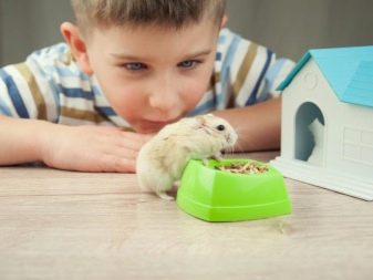 З тваринами для дітей (37 фото): якого вихованця завести в квартирі і приватному будинку? Користь і шкода для малюків