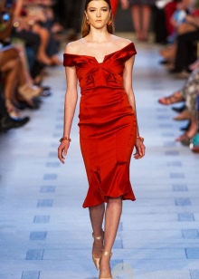 Zac Posen (56 фото): сумки та сукні, асортимент