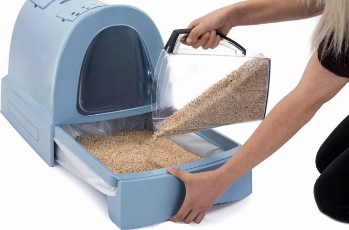 Закритий туалет для котів (21 фото): як вибрати великий котячий лоток-будинок з вугільним фільтром для кота? Відгуки власників