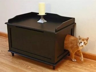 Закритий туалет для котів (21 фото): як вибрати великий котячий лоток-будинок з вугільним фільтром для кота? Відгуки власників