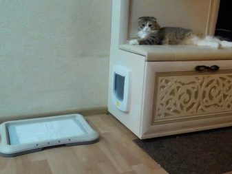 Закритий туалет для котів (21 фото): як вибрати великий котячий лоток-будинок з вугільним фільтром для кота? Відгуки власників