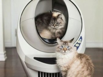 Закритий туалет для котів (21 фото): як вибрати великий котячий лоток-будинок з вугільним фільтром для кота? Відгуки власників