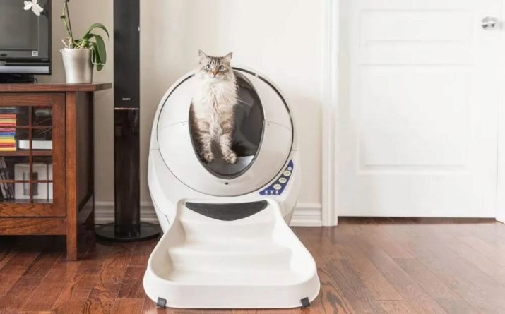 Закритий туалет для котів (21 фото): як вибрати великий котячий лоток-будинок з вугільним фільтром для кота? Відгуки власників