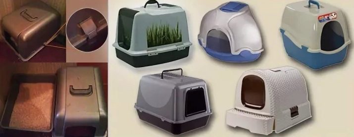 Закритий туалет для котів (21 фото): як вибрати великий котячий лоток-будинок з вугільним фільтром для кота? Відгуки власників