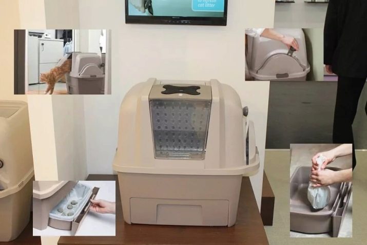 Закритий туалет для котів (21 фото): як вибрати великий котячий лоток-будинок з вугільним фільтром для кота? Відгуки власників