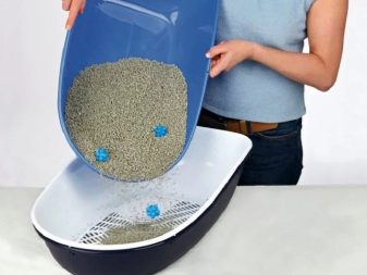 Закритий туалет для котів (21 фото): як вибрати великий котячий лоток-будинок з вугільним фільтром для кота? Відгуки власників