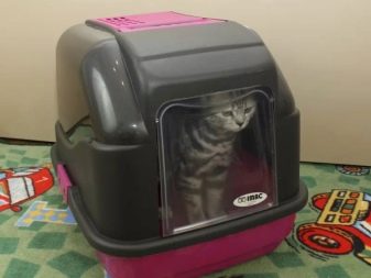 Закритий туалет для котів (21 фото): як вибрати великий котячий лоток-будинок з вугільним фільтром для кота? Відгуки власників