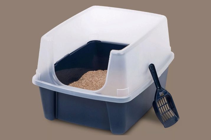 Закритий туалет для котів (21 фото): як вибрати великий котячий лоток-будинок з вугільним фільтром для кота? Відгуки власників