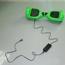 Зарядні пристрої для гироскутеров: як виглядає роз’єм для універсальної зарядки? Чому зарядний пристрій горить зеленим світлом?