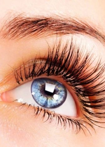 Засоби для росту вій: кращі засоби для зміцнення, активатори та стимулятори швидкого росту вій. Індійські, корейські та інші засоби. Відгуки покупців