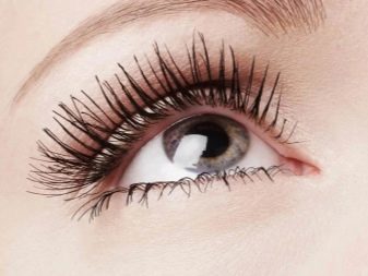 Засоби для росту вій в домашніх умовах (24 фото): народні рецепти для зміцнення довгих вій. Як покроково поліпшити вії?
