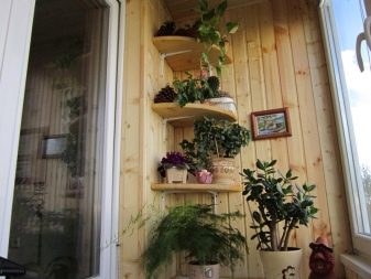 Зберігання на балконі і лоджії (53 фото): ідеї організації системи зберігання речей і взуття, овочів і банок. Вибір місця для функціональної зони