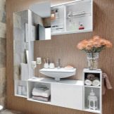 Зберігання у ванній кімнаті (43 фото): системи зберігання рушників і іграшок, ідеї організації простору та оптимальні рішення