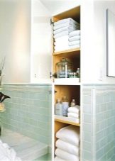 Зберігання у ванній кімнаті (43 фото): системи зберігання рушників і іграшок, ідеї організації простору та оптимальні рішення