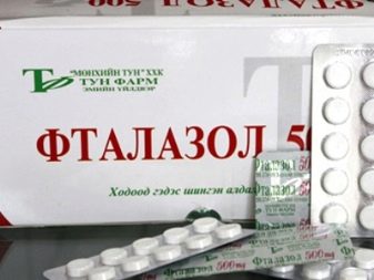 Зелені папуги: особливості породи, правила утримання великих папуг зеленого кольору, відгуки власників