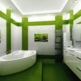 Зелена плитка для ванної (41 фото): керамічна і інша плитка темно – та світло-зеленого кольору у ванній кімнаті. Дизайн плитки на підлогу і стіни в зелених тонах