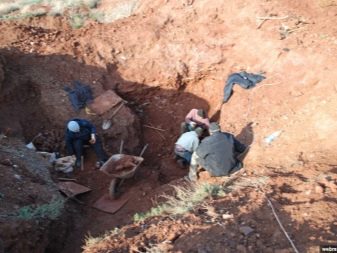 Зелений агат (29 фото): магічні та інші властивості каменю. Кому він підходить? Його значення