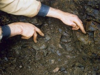 Зелений агат (29 фото): магічні та інші властивості каменю. Кому він підходить? Його значення