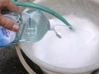 Зелений кварц (22 фото): особливості празема, магічні і лікувальні властивості мінералу. Як носити смарагдовий камінь в ювелірних виробах?