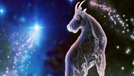 Жінка Козеріг-Щур: характеристика жінки за гороскопом, сумісність народжених у рік Щура у відносинах