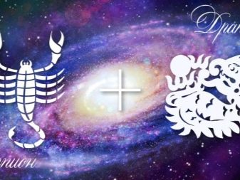 Жінка Телець-Тигр: характеристика і гороскоп на рік, сумісність в любові і професії