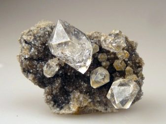 Жінка Тигр (18 фото): характеристика жінок, народжених у роки Вогняного та Дерев’яного Тигра, сумісність з чоловіком Котом та іншими знаками зодіаку за східним гороскопом