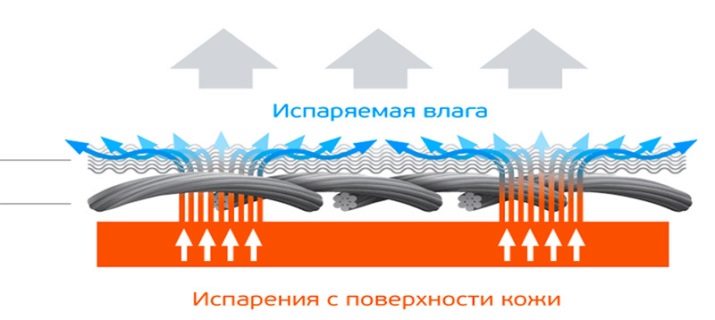 Жіноча термобілизна для холодної погоди (53 фото): як вибрати краще? Рейтинг моделей для зими, їх особливості, плюси і мінуси