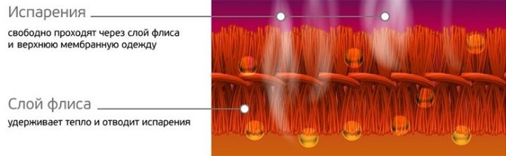 Жіноча термобілизна для холодної погоди (53 фото): як вибрати краще? Рейтинг моделей для зими, їх особливості, плюси і мінуси