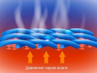 Жіноча термобілизна для холодної погоди (53 фото): як вибрати краще? Рейтинг моделей для зими, їх особливості, плюси і мінуси