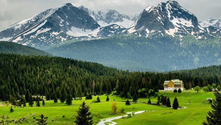 Жабляк (51 фото): опис гірськолижного курорту в Чорногорії. Які пам’ятки можна побачити взимку і влітку? Вибір готелю