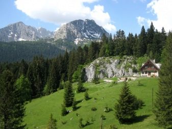 Жабляк (51 фото): опис гірськолижного курорту в Чорногорії. Які пам’ятки можна побачити взимку і влітку? Вибір готелю