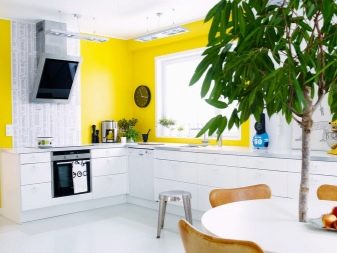Жовті стіни на кухні (34 фото): шпалери жовтого і лимонного кольору в інтер’єрі. Варіанти дизайну і поєднань