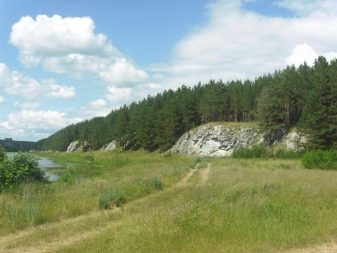 Жовтий топаз (21 фото): опис золотистого каменю. Магічні та інші властивості топазу лимонного кольору