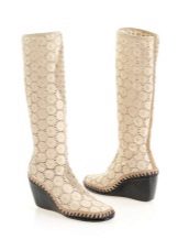 Зимові чоботи Рікер (61 фото): жіночі моделі 2020 на зиму з натуральної шкіри і дутики німецької фірми Rieker, відгуки