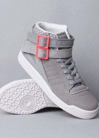 Зимові кросівки Адідас (60 фото): Терекс, Adidas Climaproof і Climawarm, моделі з хутром, високі, теплі дитячі Нео