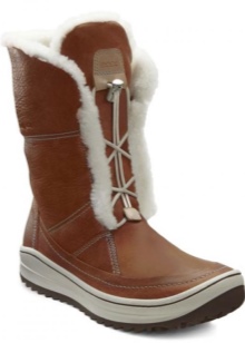 Зимові жіночі чоботи ECCO (43 фото): модні моделі на осінь і зиму