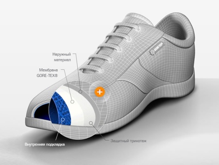 Зимові жіночі чоботи ECCO (43 фото): модні моделі на осінь і зиму