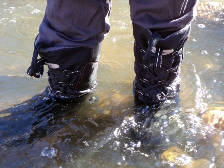 Зимові жіночі чоботи ECCO (43 фото): модні моделі на осінь і зиму