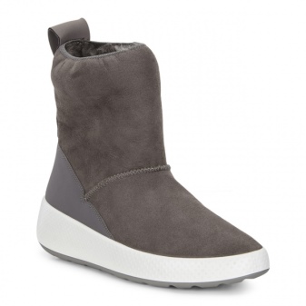 Зимові жіночі чоботи ECCO (43 фото): модні моделі на осінь і зиму