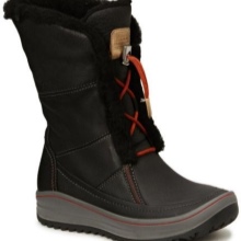 Зимові жіночі чоботи ECCO (43 фото): модні моделі на осінь і зиму