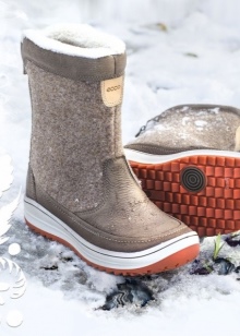 Зимові жіночі чоботи ECCO (43 фото): модні моделі на осінь і зиму