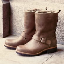 Зимові жіночі чоботи ECCO (43 фото): модні моделі на осінь і зиму